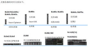 上海天哲计算机科技 深耕计算服务，驱动数字化转型新未来