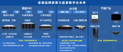 达梦数据库与宝德计算机共建繁荣国产软硬件生态圈